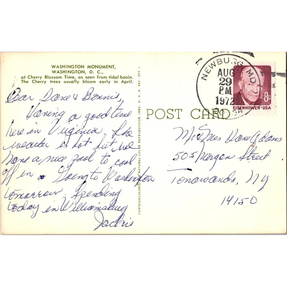 Vintage Washington Monument Cherry Blossoms 1972 Curteich‎ Postcard